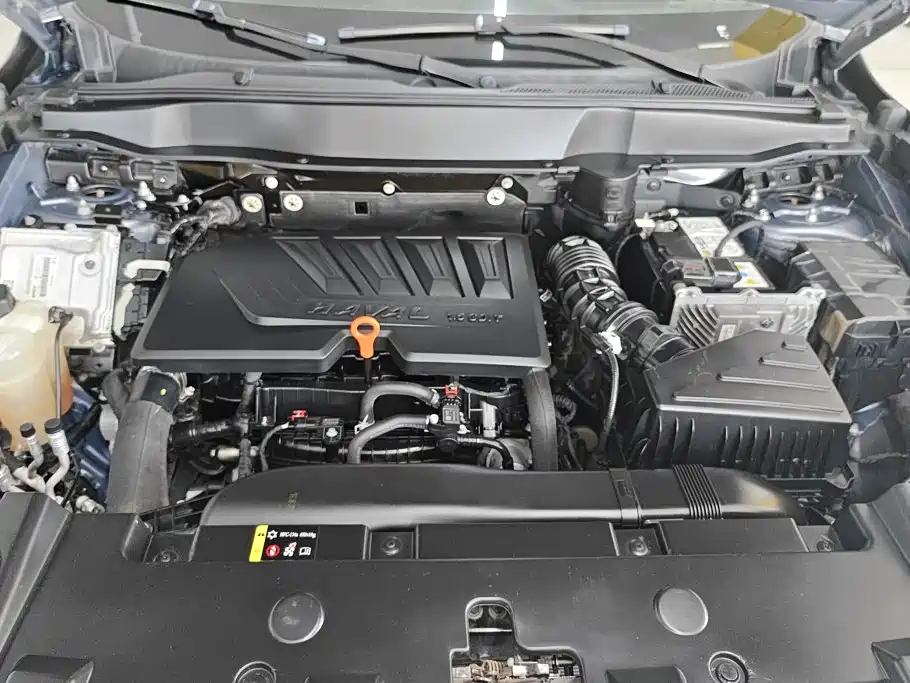 Haval Dargo 2021 — фото 10