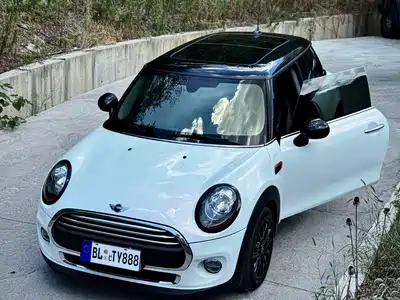 MINI MINI 2017