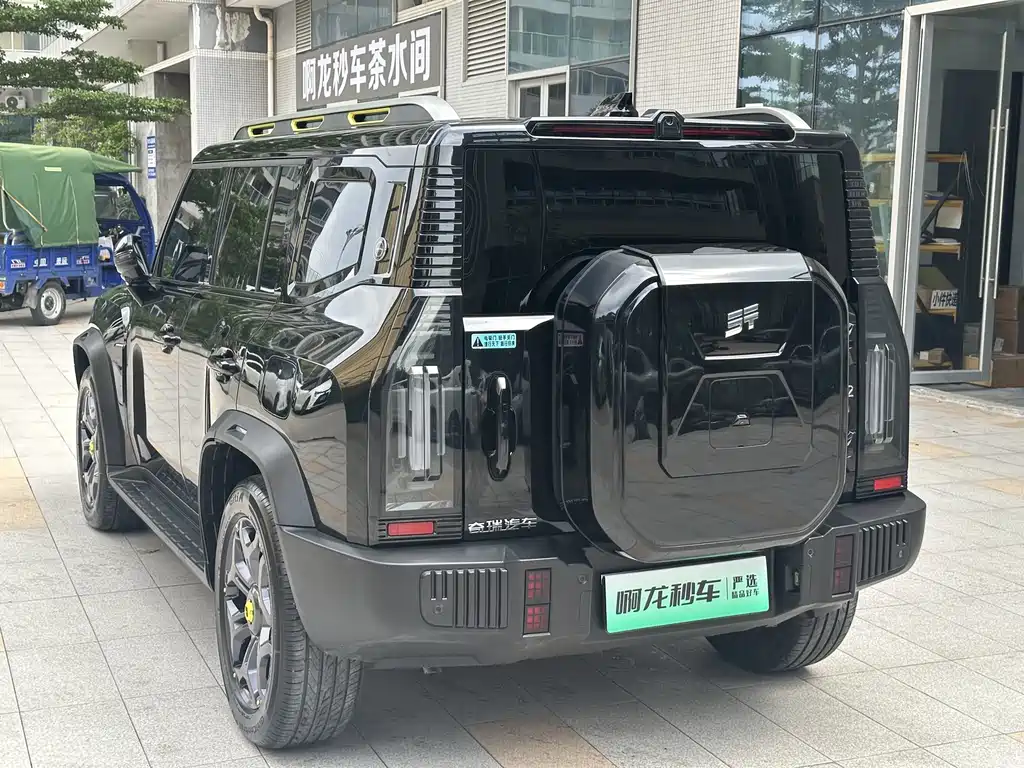 Shanhai Traveller C-DM 2025 — фото 19