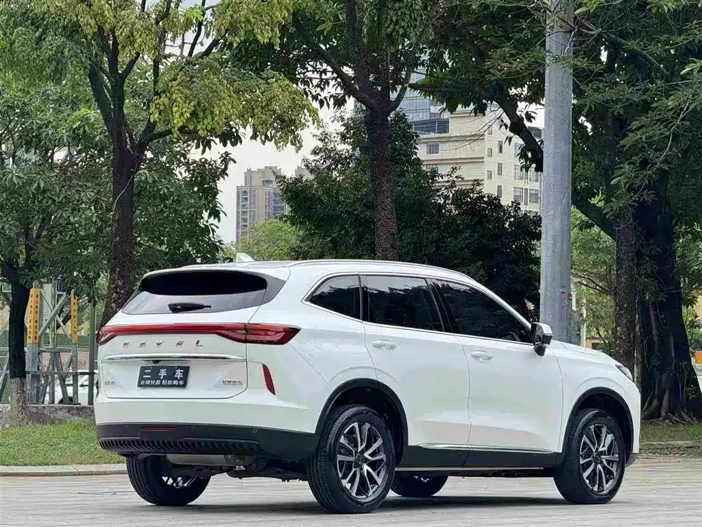 Haval H6 2021 — фото 7