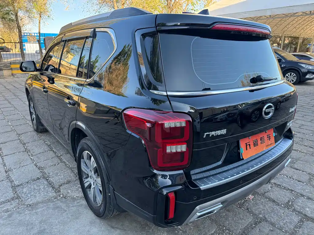 GAC Motor Trumpchi GS8 2020 — фото 7