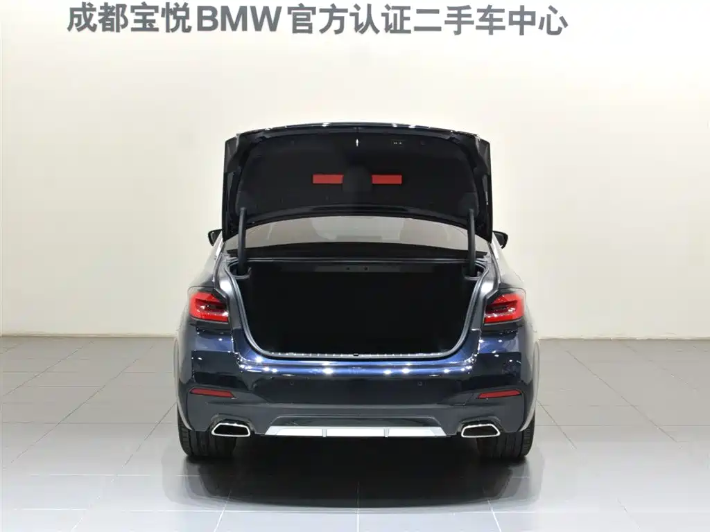BMW 5 Series 2022