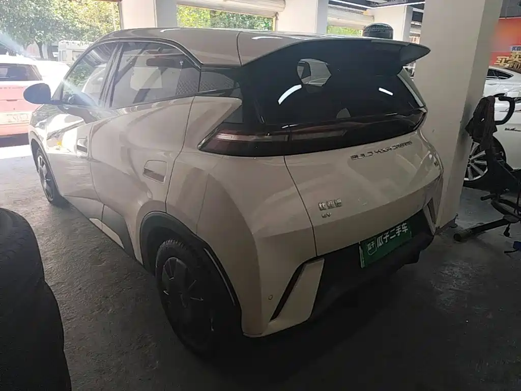 BYD Seagull 2024