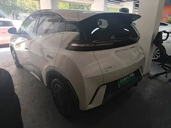 BYD Seagull 2024