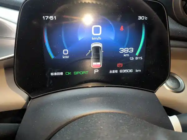 BYD Dolphin 2024