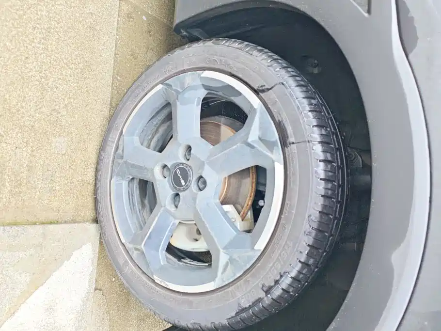 BYD Seagull 2024