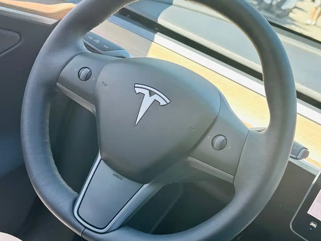 Tesla Model Y 2021 — фото 14