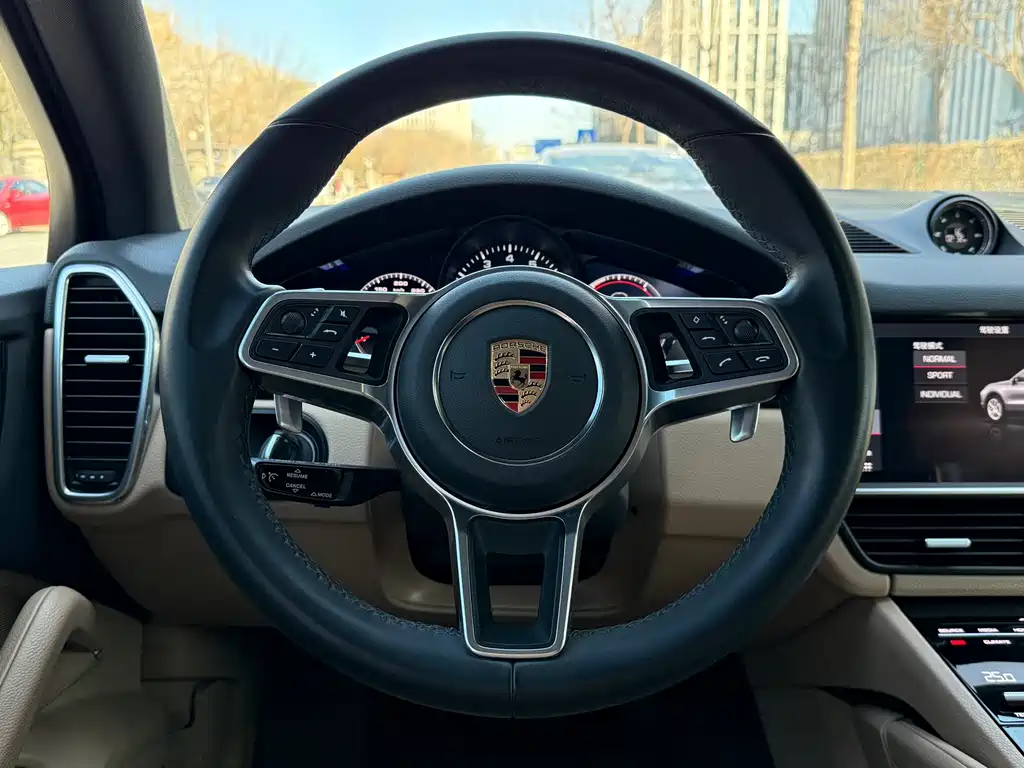 Porsche Cayenne 2020 — фото 12