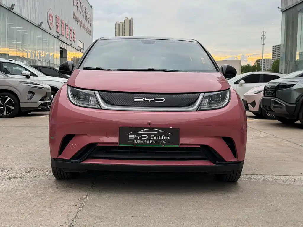 BYD Dolphin 2022
