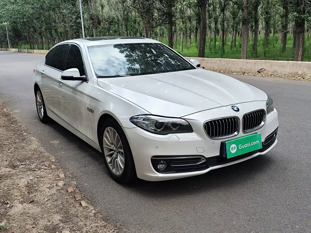BMW 5 Series 2016 — фото 22