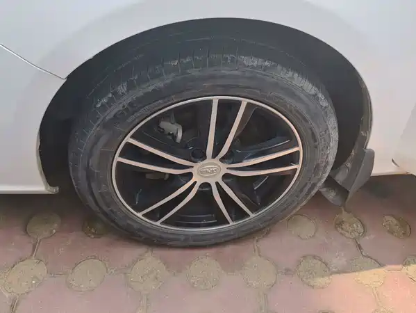 BYD Surui 2016