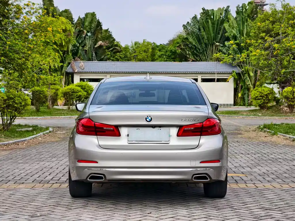 BMW 5 Series 2019 — фото 6
