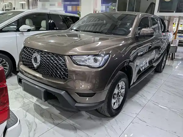 Great Wall Poer 2021
