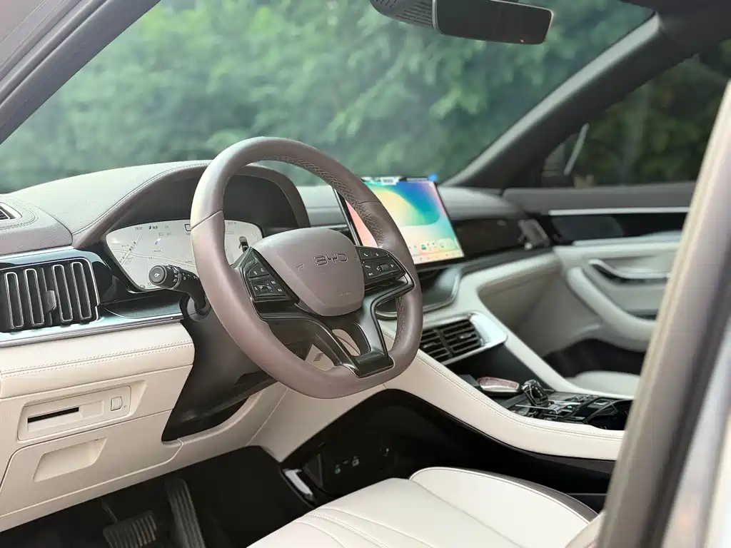 BYD Song PLUS New Energy 2025 — фото 21