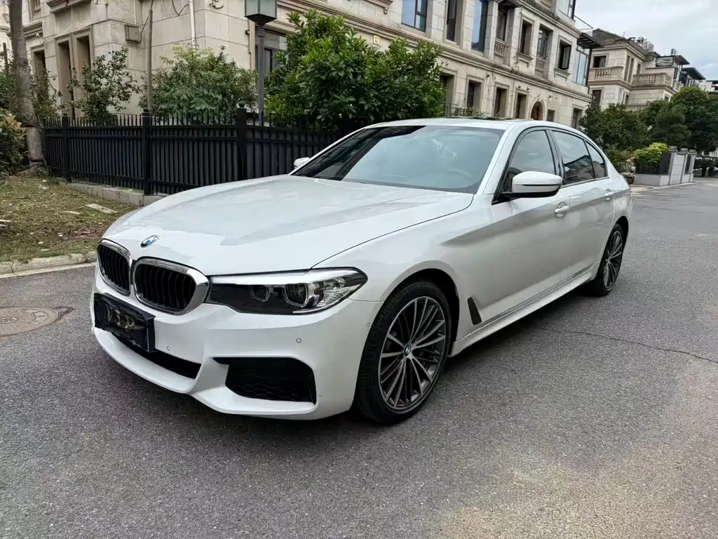 BMW 5 Series 2020 — фото 1