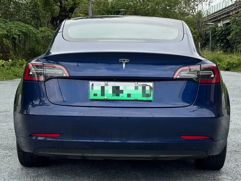 Tesla Model 3 2021 — фото 5