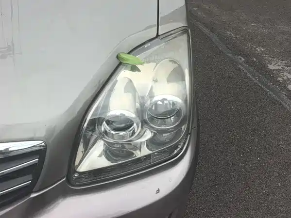 Suzuki Beidou Star X5 2014