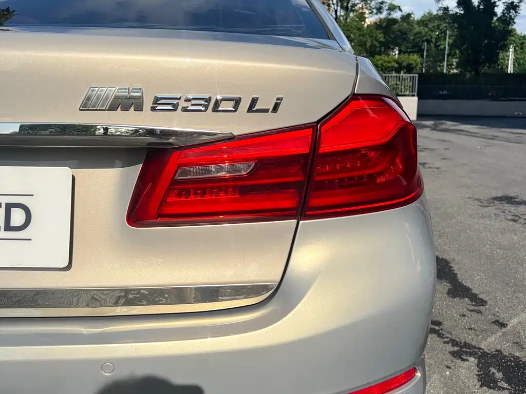 BMW 5 Series 2017 — фото 12
