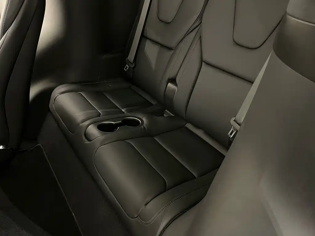 Tesla Model X 2020 — фото 16