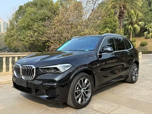 BMW X5 2021