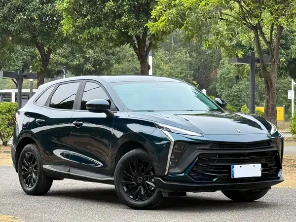 Dongfeng Fengxing T5 EVO 2024
