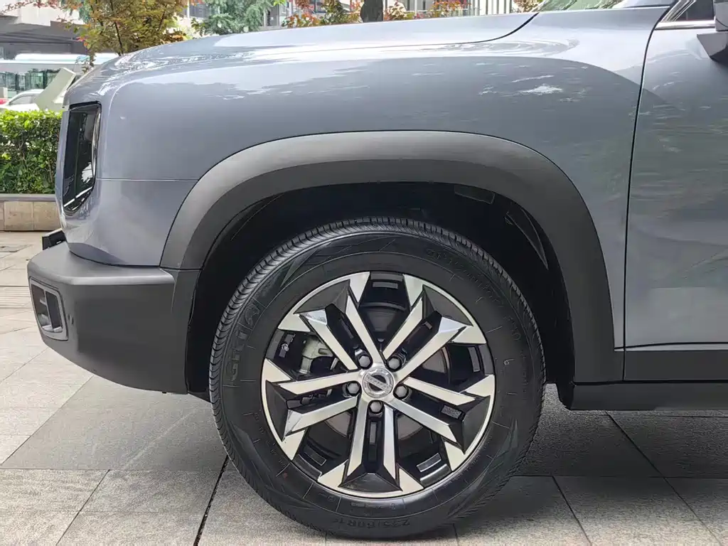 Haval Big Dog 2021 — фото 10