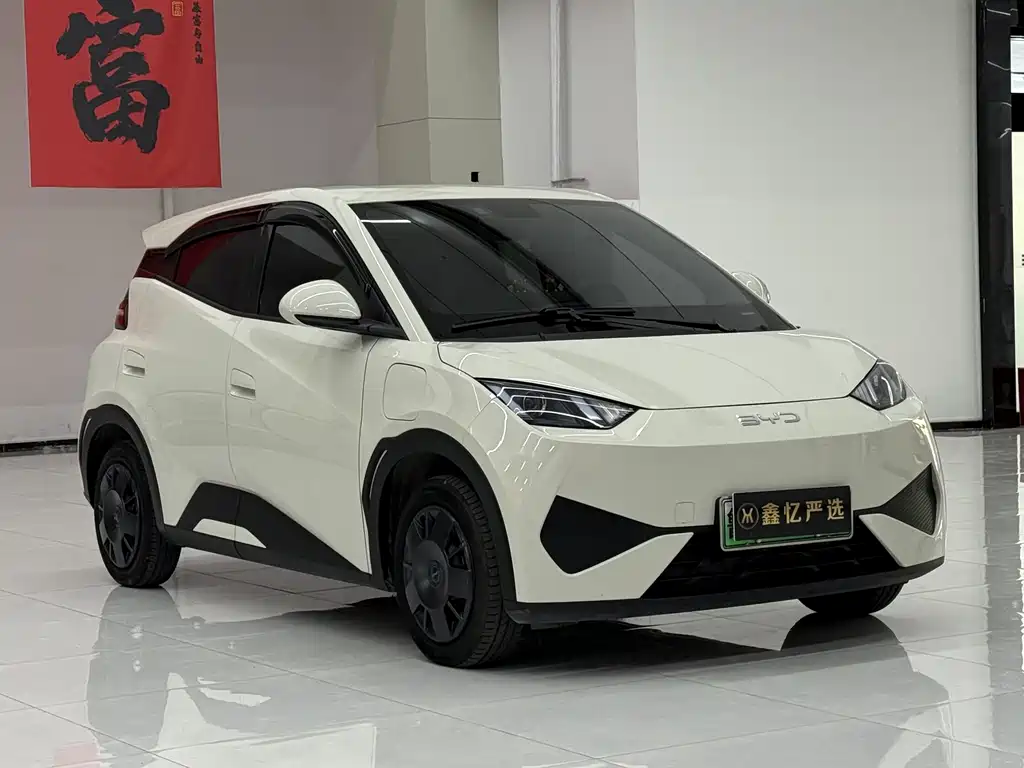 BYD Seagull 2025