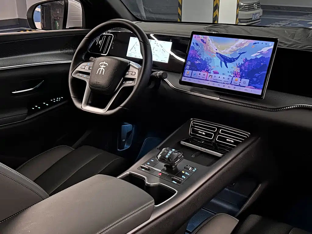 BYD Song Pro New Energy 2025 — фото 11