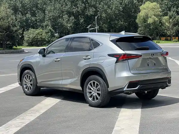 Lexus NX 2019