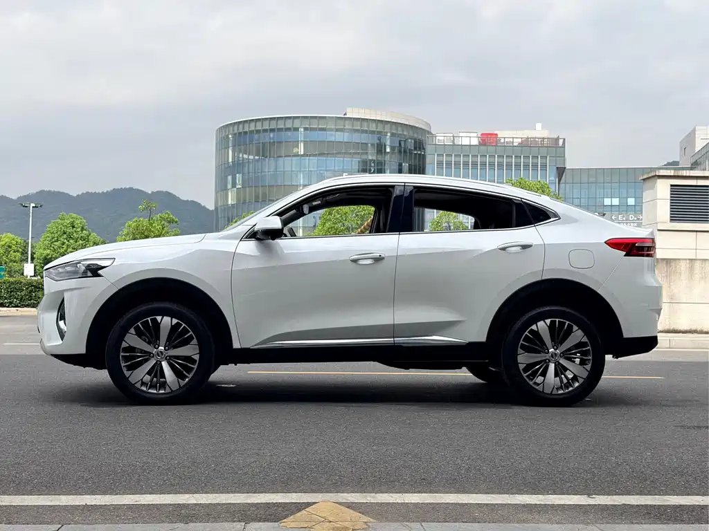 Haval F7x 2020 — фото 8
