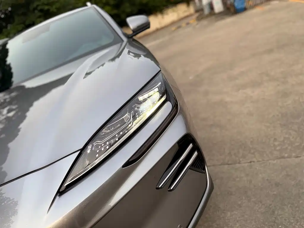 BYD Song PLUS New Energy 2025 — фото 24