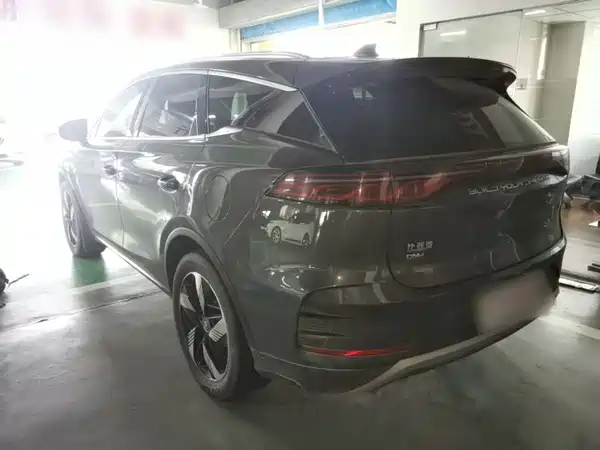 BYD Tang New Energy 2024