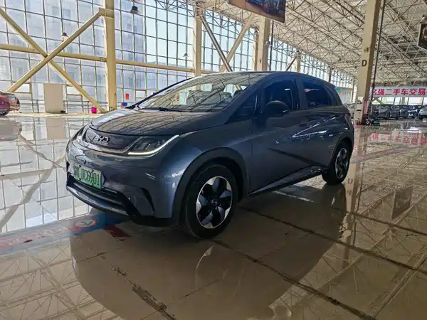 BYD Dolphin 2024
