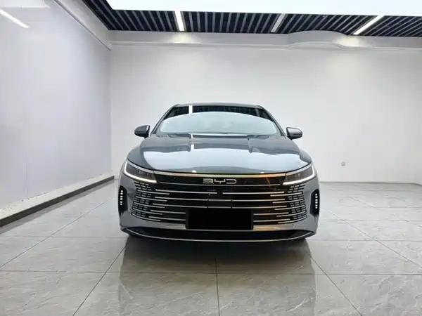 BYD Destroyer 05 2024