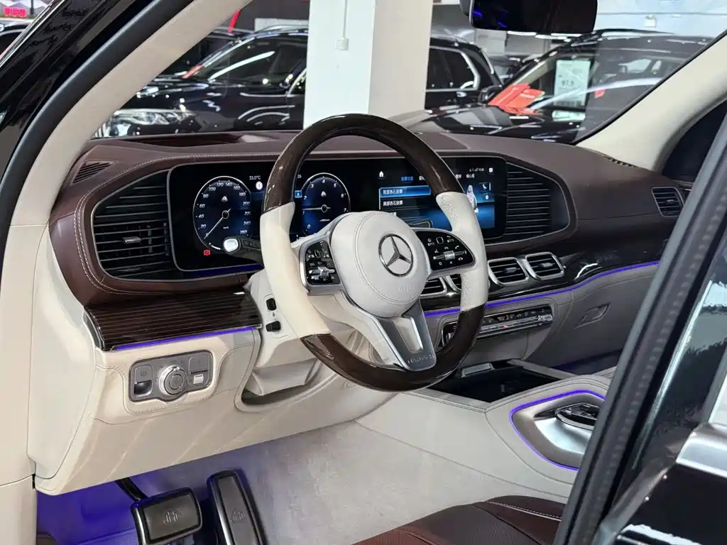 Mercedes-Benz Maybach GLS 2021 — фото 18