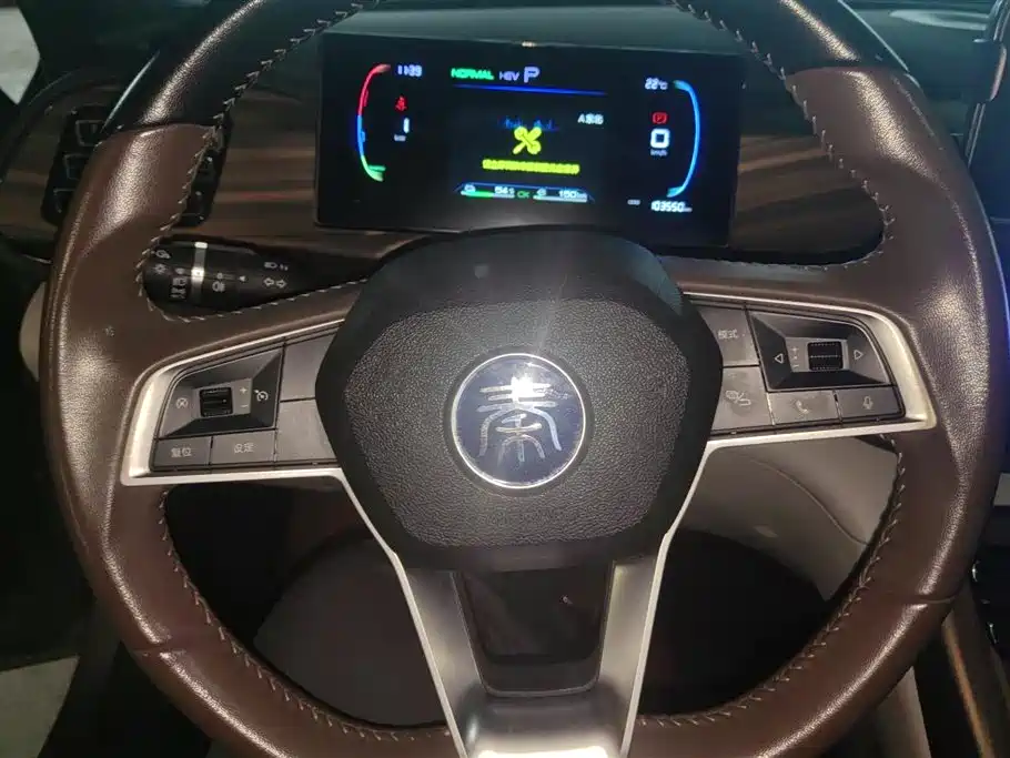 BYD Qin PLUS 2024 — фото 15