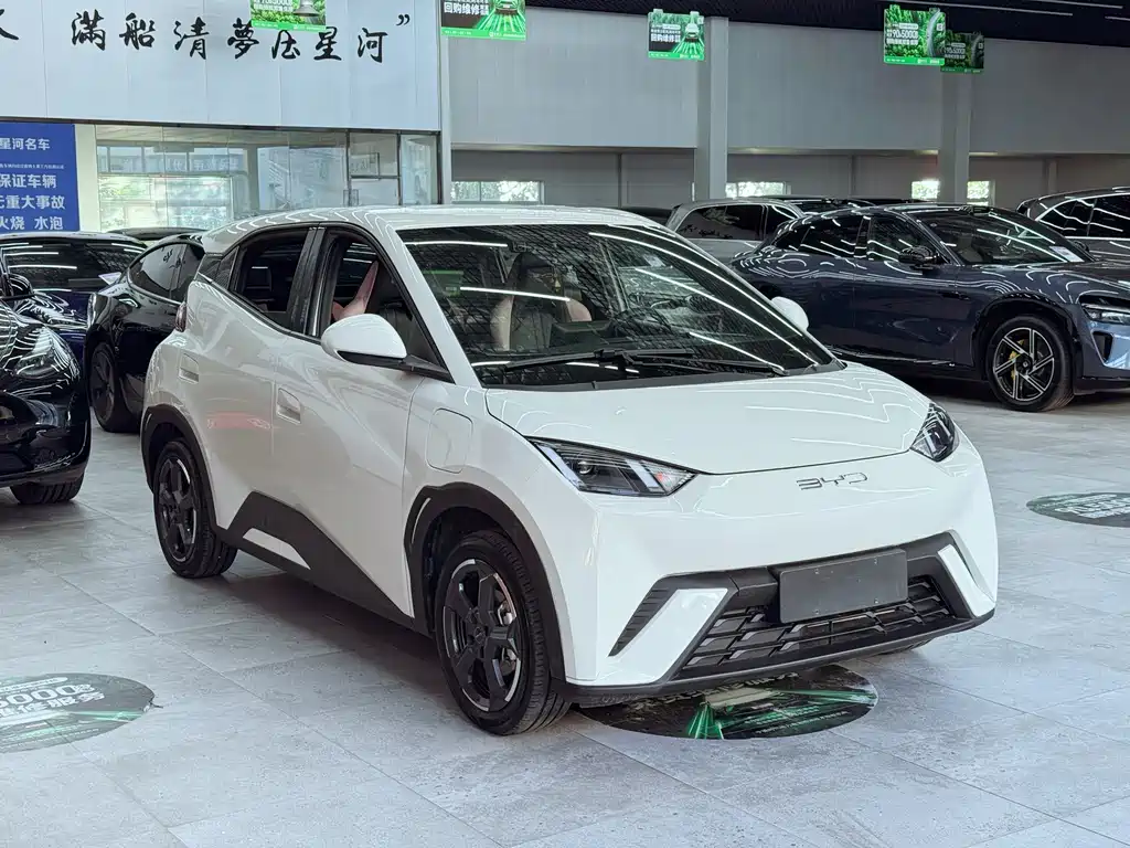 BYD Seagull 2024