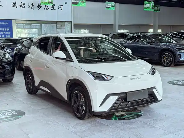 BYD Seagull 2024