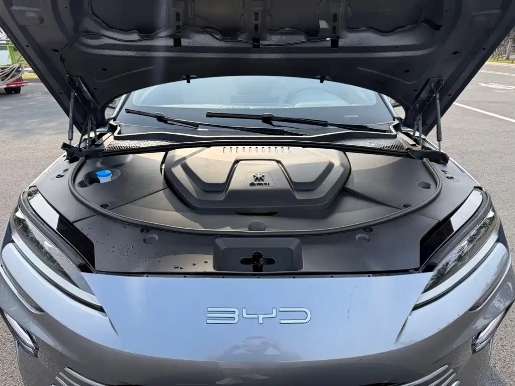 BYD PLUS New Energy 2024 — фото 15