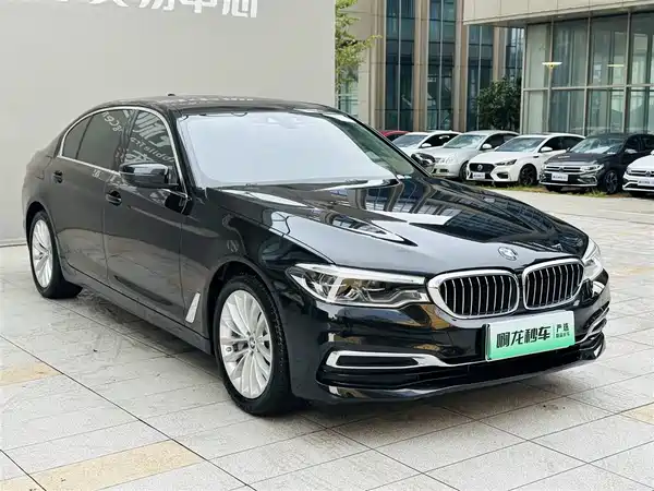 BMW 5 Series New Energy 2019