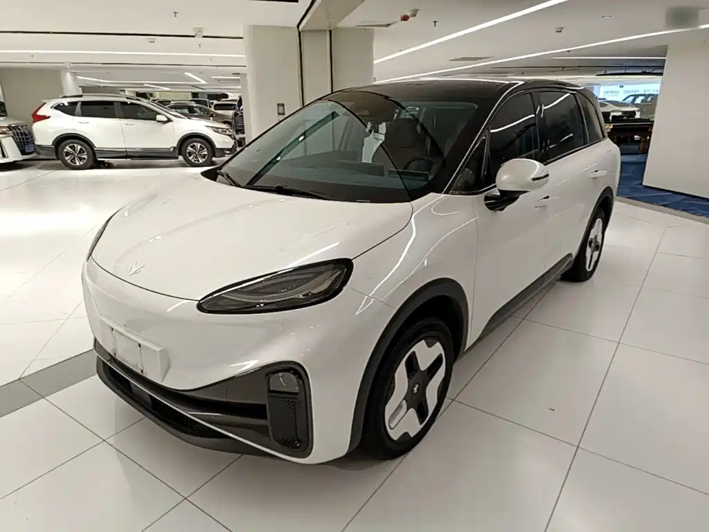 Arcfox Polar Fox Koala 2024