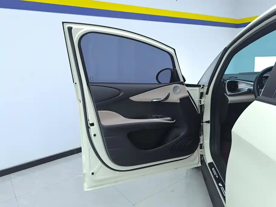 BYD Dolphin 2024