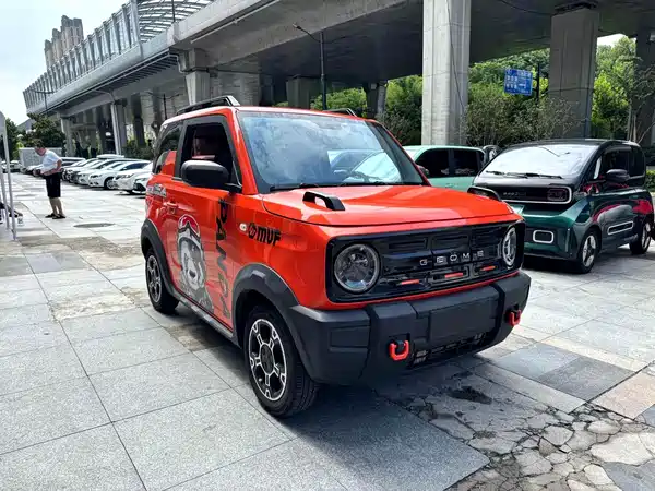 Geely Galaxy Panda 2024