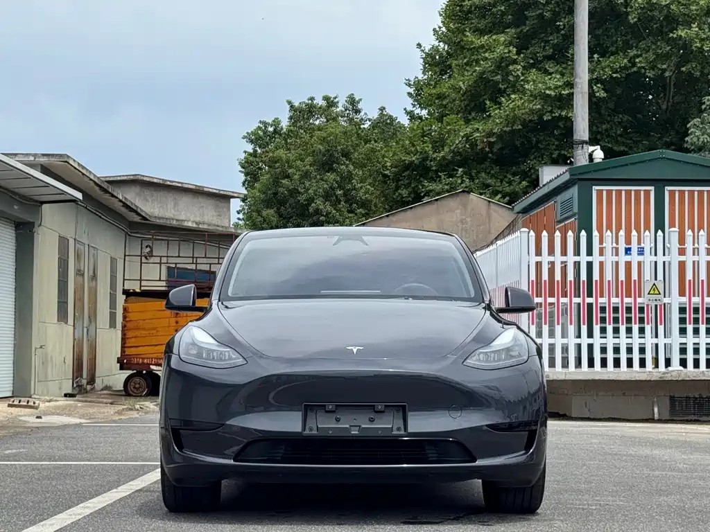 Tesla Model Y 2024 — фото 2