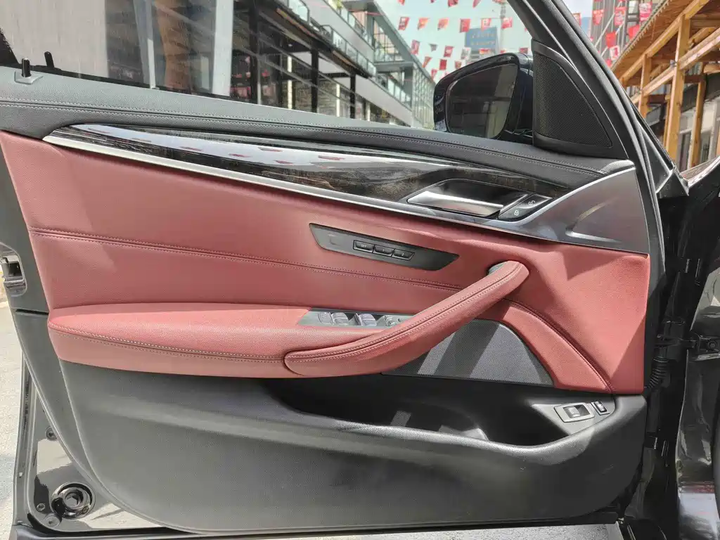 BMW 5 Series New Energy 2021