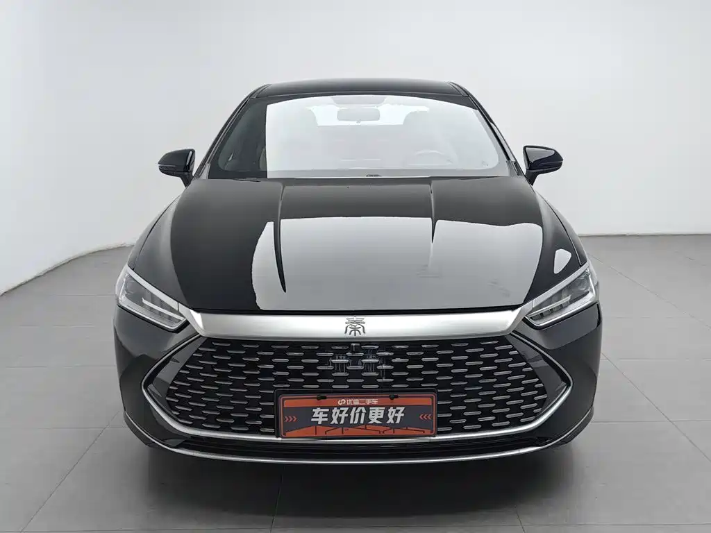 BYD Qin PLUS 2024 — фото 3