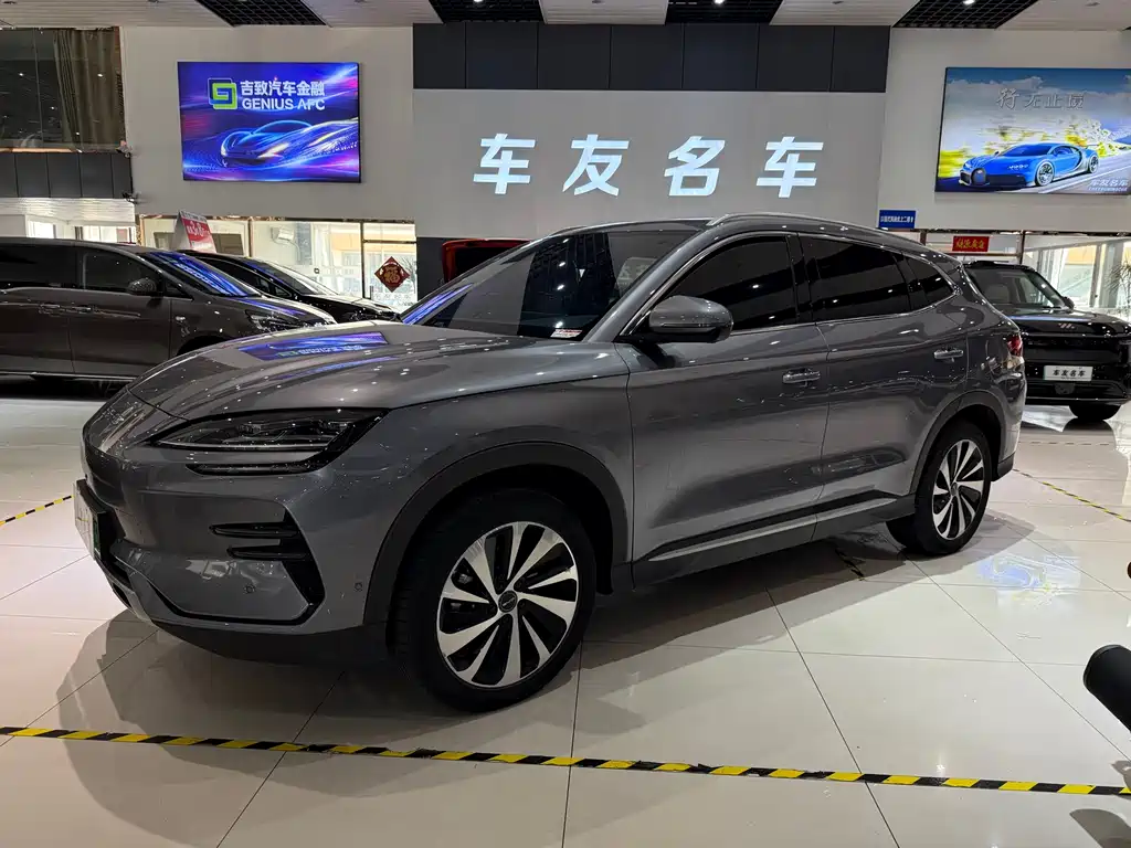 BYD PLUS New Energy 2023 — фото 1