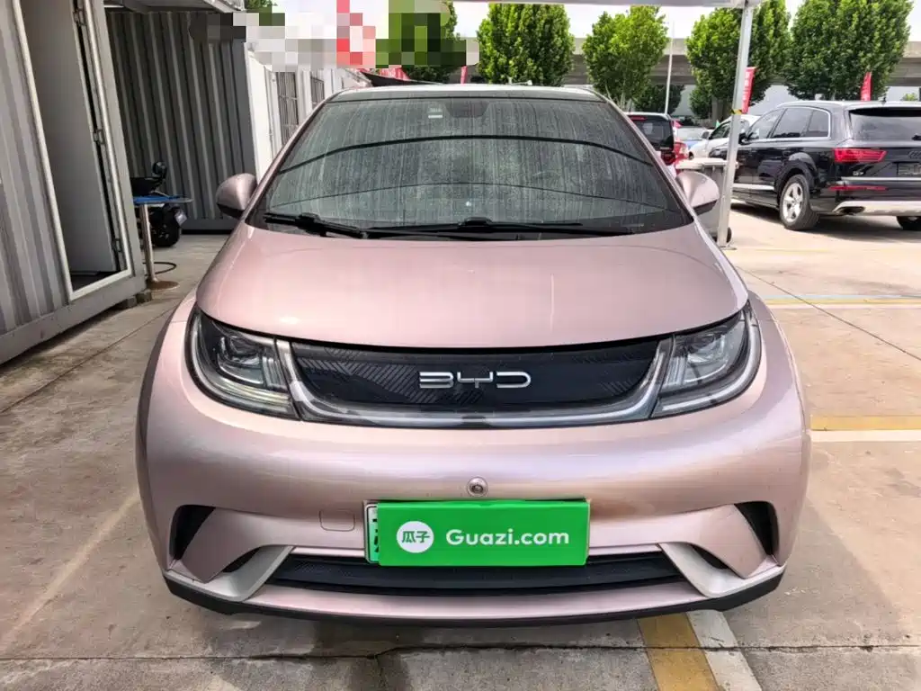 BYD Dolphin 2022