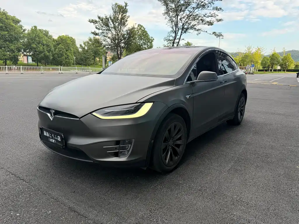 Tesla Model X 2020 — фото 3