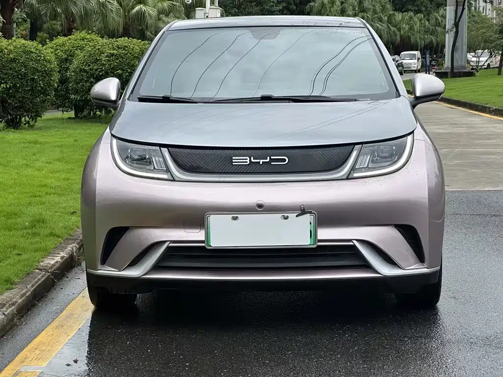 BYD Dolphin 2022